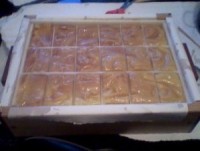 Seized Soap.jpg