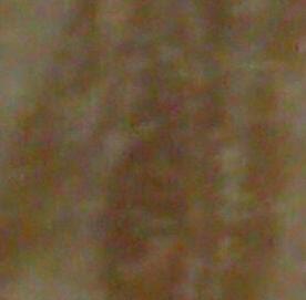 IMAG0560-1-1.jpg